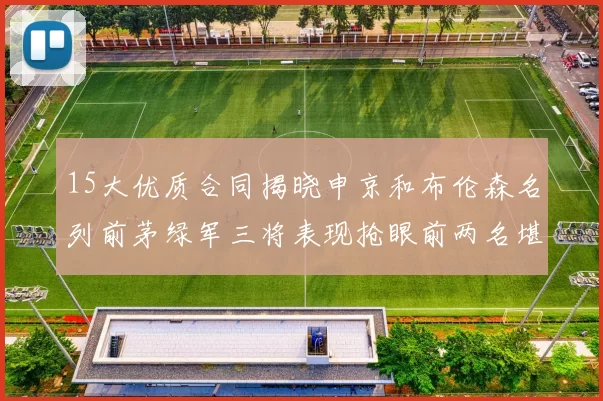 15大优质合同揭晓申京和布伦森名列前茅绿军三将表现抢眼前两名堪称传奇