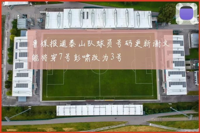 鲁媒报道泰山队球员号码更新谢文能将穿7号彭啸改为3号