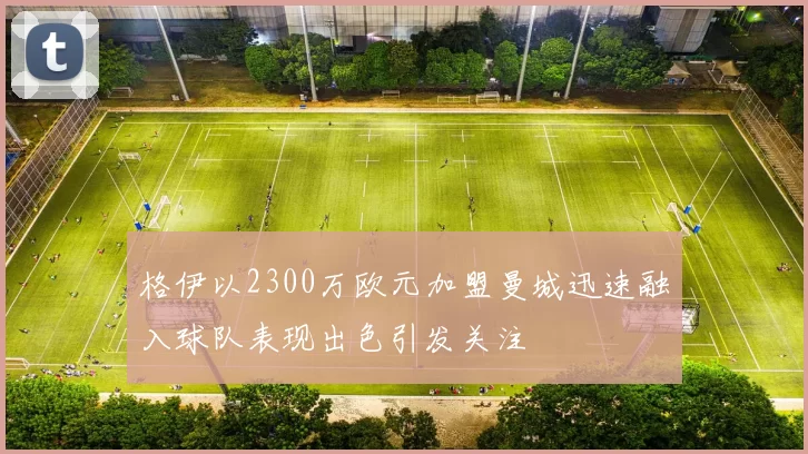 格伊以2300万欧元加盟曼城迅速融入球队表现出色引发关注