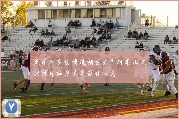 莱昂纳多伤情追溯至去年对泰山之战预计四月恢复最佳状态
